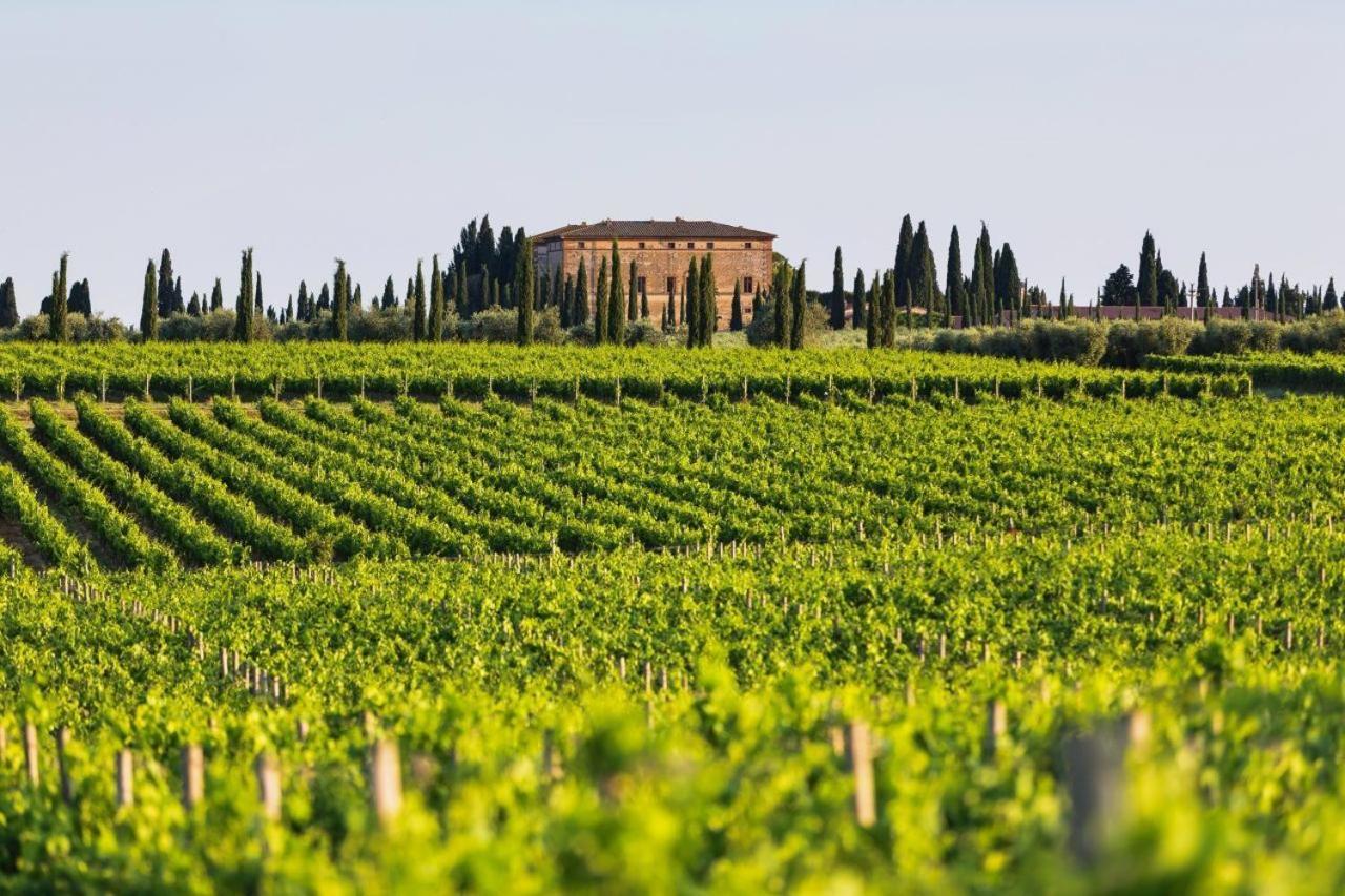 Antico Brunello Apartment Argiano Bagian luar foto